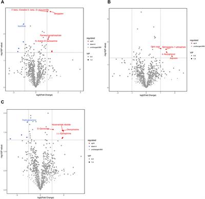 Non-targeted Metabolomics Analysis Based on LC–MS to Assess the Effects of Different Cold Exposure Times on Piglets